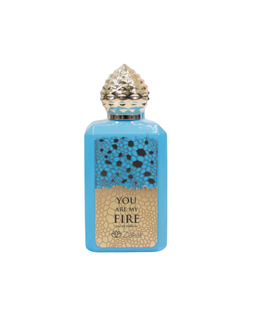 Zakat You Are My Fire