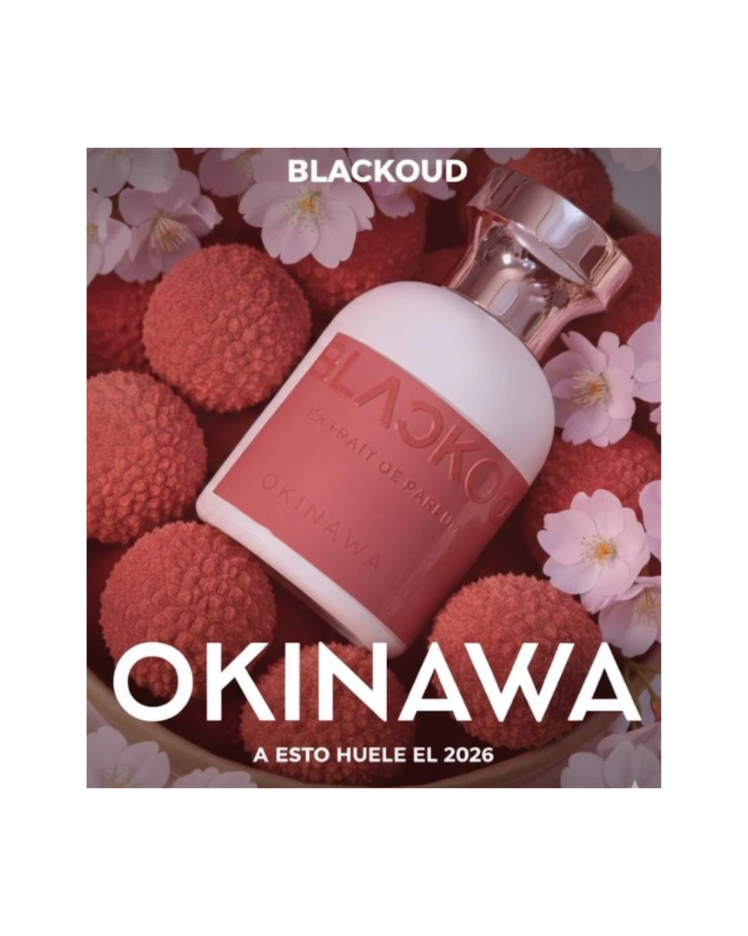 BlackOud Okinawa